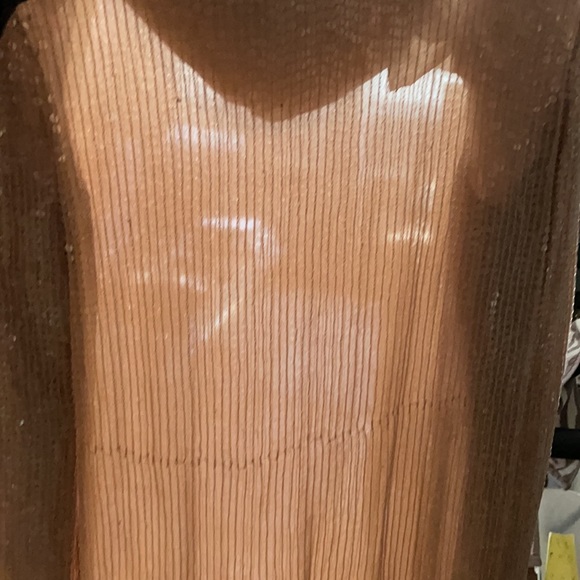 Haute Hippie Sequin Dress - Picture 4 of 6